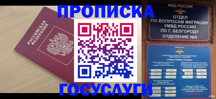 прописка законно в Новодвинске